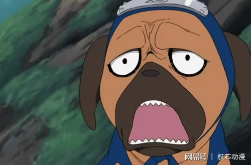 火影忍者:帕克担心自己风头被佐井的墨水鸟抢掉,于是拼命完成任务