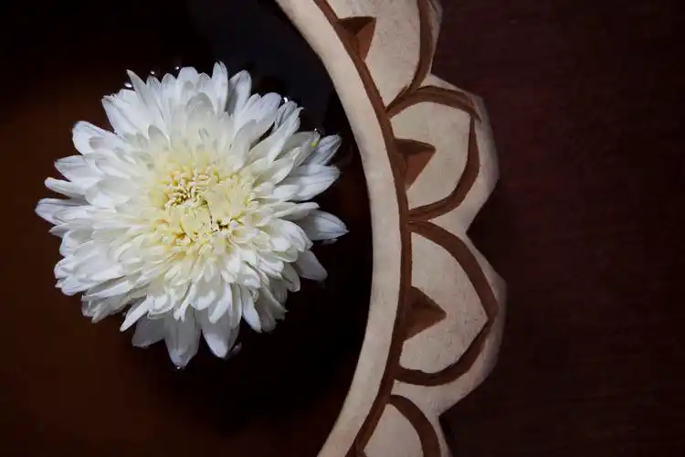 白花和蜡烛,白花和蜡烛