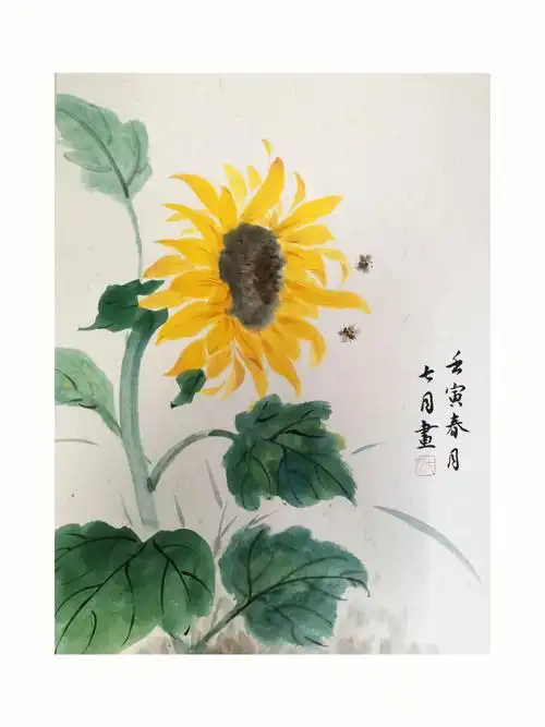 阳光中的向日葵