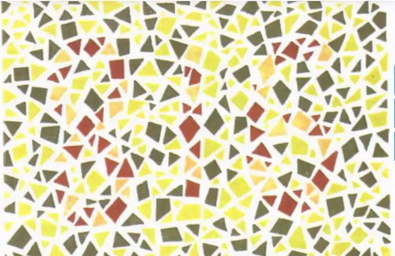 6张高难度色盲自测图想考驾照的看过来全猜中的没几个