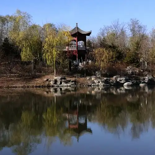 初冬的齐物潭公园2020年11月23日