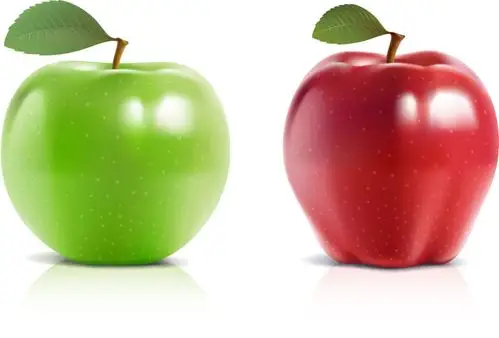 逼真青苹果红苹果矢量素材