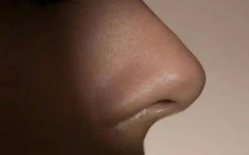 麻衣相法:截筒鼻有哪些特征?什么样的鼻子是截筒鼻?