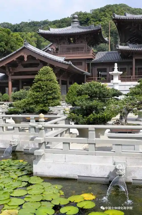 索尔园林集团丨寺庙园林植物该如何设计配置_树种_景观_宗教