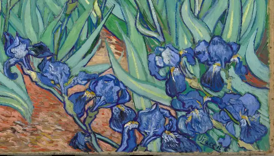 鸢尾花irises梵高vincentvangogh油画作品欣赏