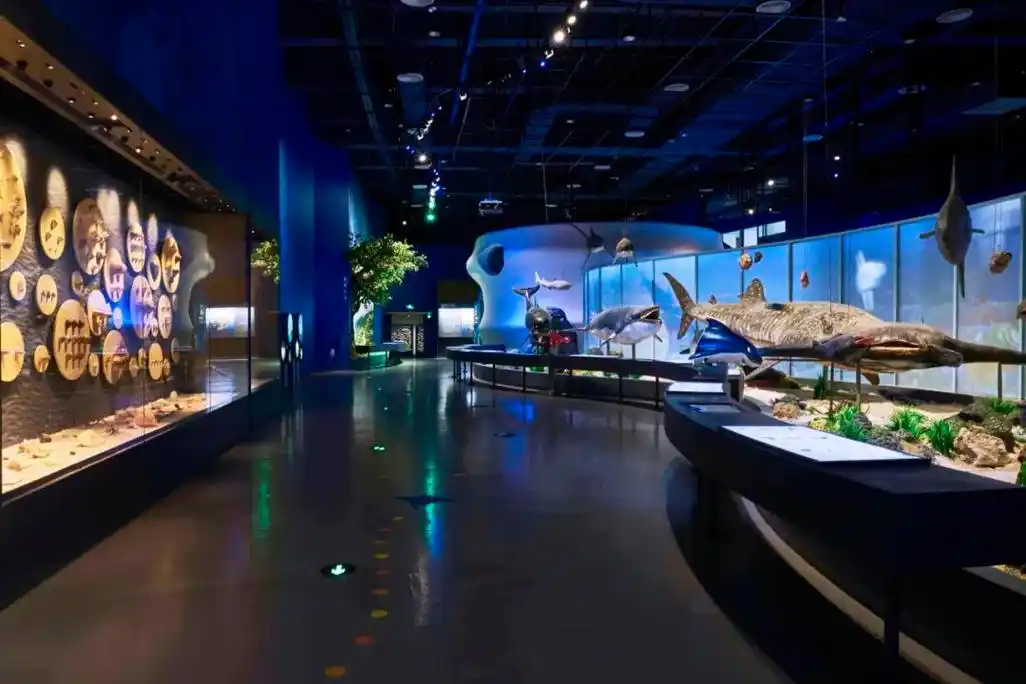 游览攻略 │ 这个暑假带您畅游中国(海南)南海博物馆