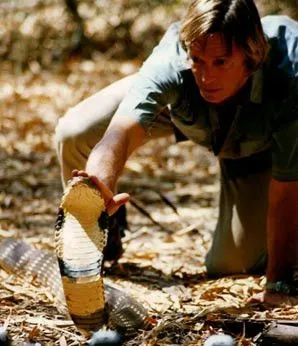 什么时候才能像奥斯汀·史蒂文斯一样?