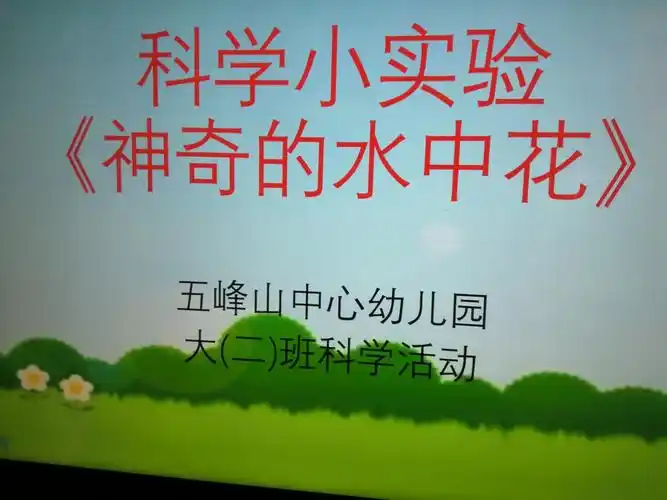 《神奇的水中花》——五峰山中心幼儿园大班科学活动
