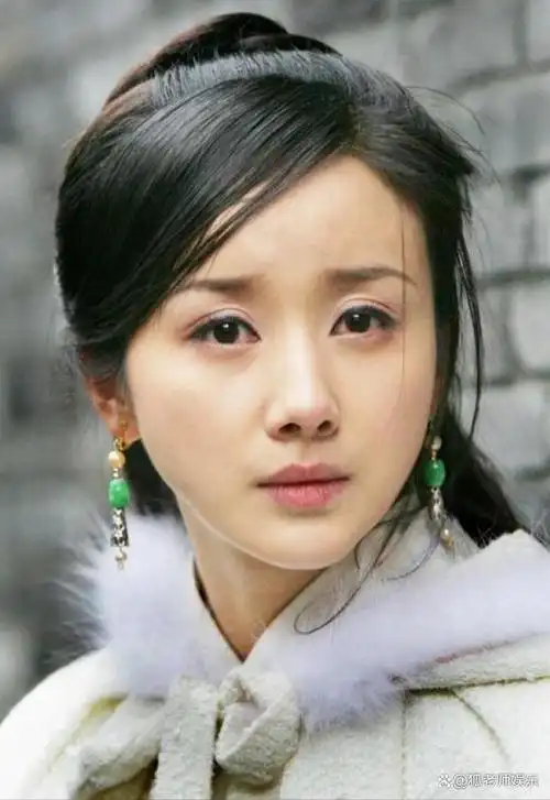 2010年,孙菲菲在参与电视剧《血色恋情》的拍摄时,被剧组导演杨姓殴打