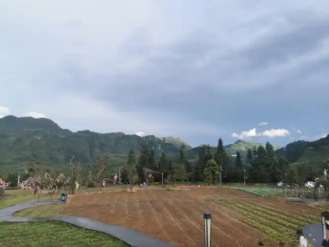 遵义桐梓开元芳草地乡村酒店评论