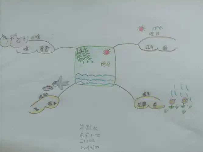 东安小学三(1)班思维导图【第1期】