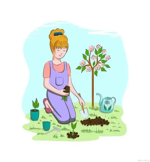 花期和生长期应该施什么肥,如何自制盆栽仙人掌肥,以及其他养护小技巧