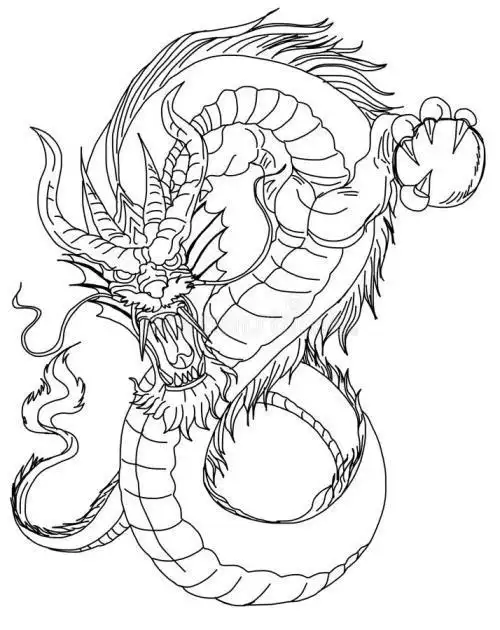 花龙的简笔画大图