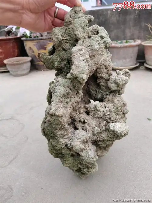 天然吸水石_价格50元_第1张