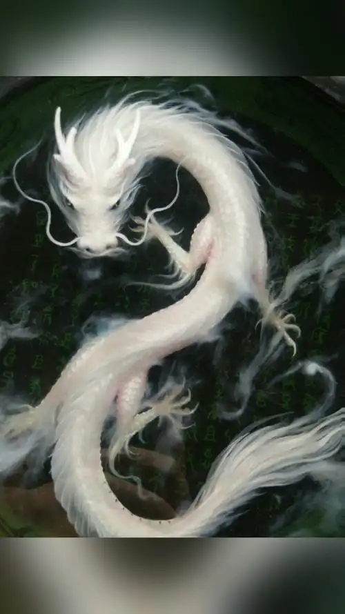 寻找最牛手艺人#白龙～成品欣赏!