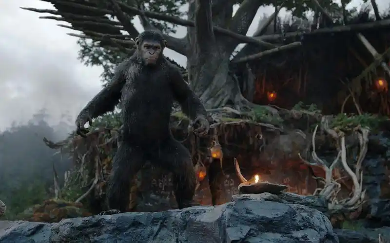 猩球崛起2:黎明之战高清剧照电脑桌面壁纸下载