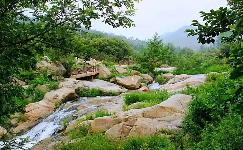 等疫情结束后去一趟蒙阴吧