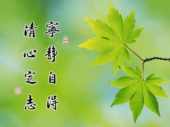 守住一颗宁静的心