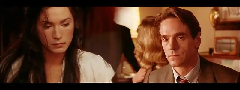 《蝴蝶君》电影台词全本 dvd版截图