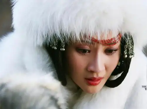 皇帝明知妃子远在异国他乡|邢秉懿|赵构|妃子_新浪新闻