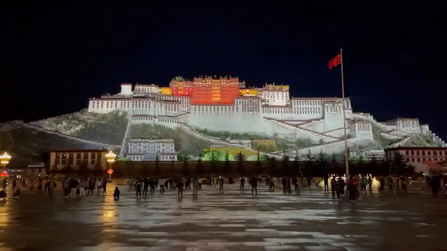 布达拉宫夜景