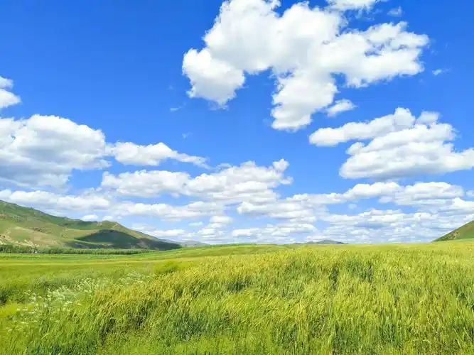 最美的风景在草原