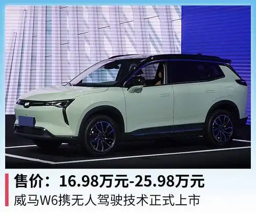 伴随威马w6的正式发售,威马汽车为首批购车用户推出"限时升舱礼遇":至