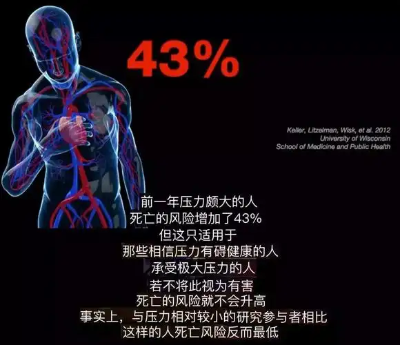 斯坦福心理教授压力面前除了逃避和死扛你还有第三