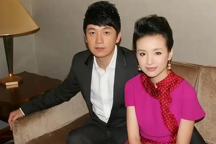 冰清玉洁的董洁(董洁百度百科)