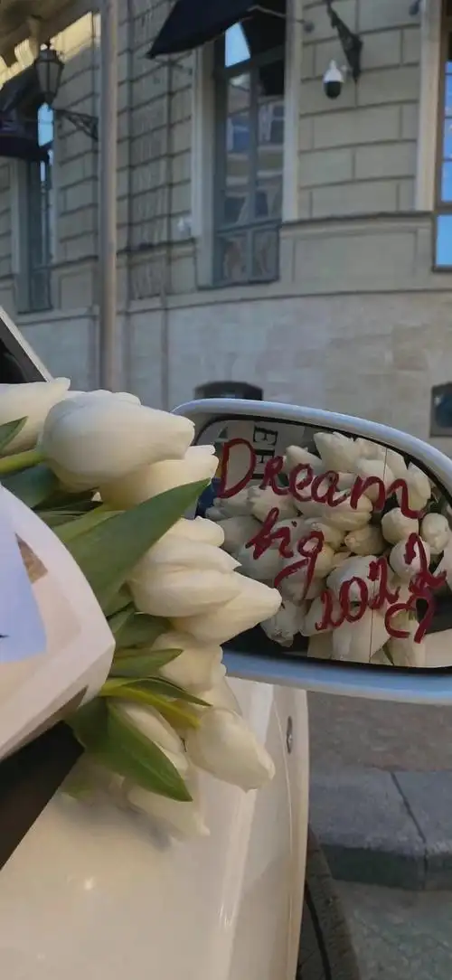 壁纸:高级感ins风手机全屏壁纸 - 知乎