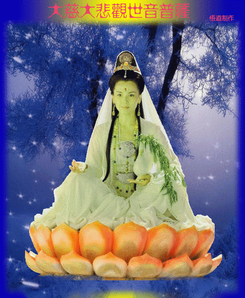 557_675gif 动态图 动图