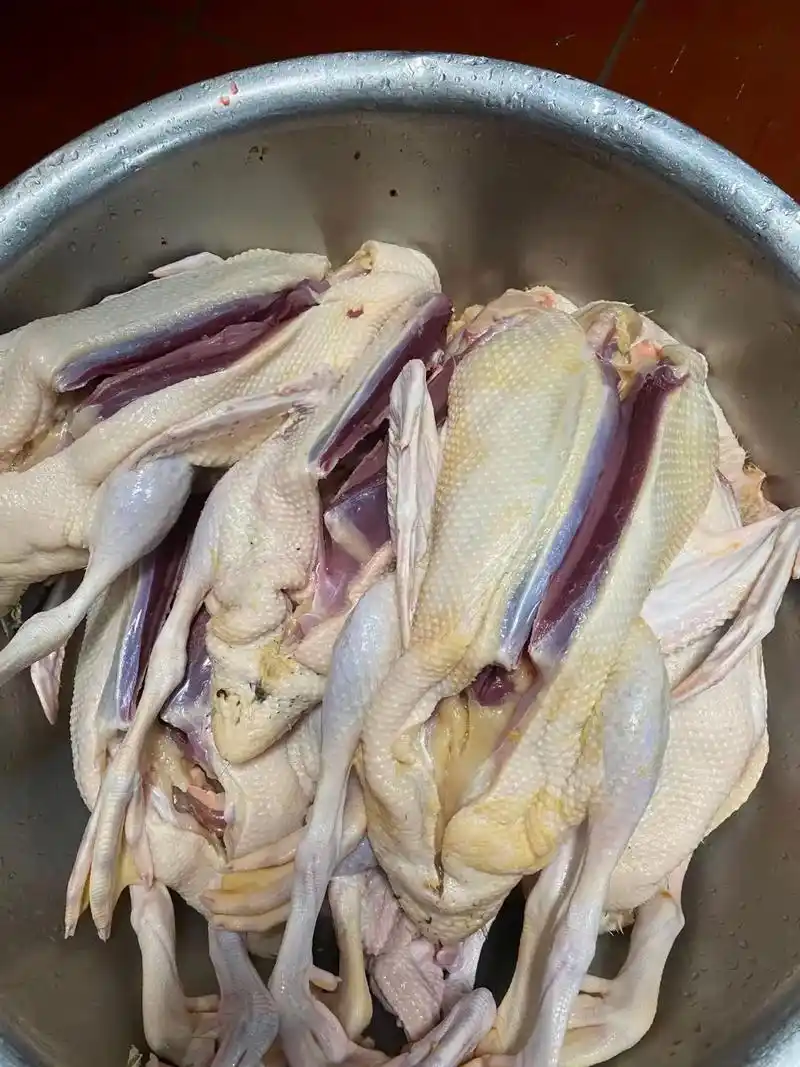 正宗家养的土鸭 #分享美食分享快乐 #只有照片能记录这份 - 抖音