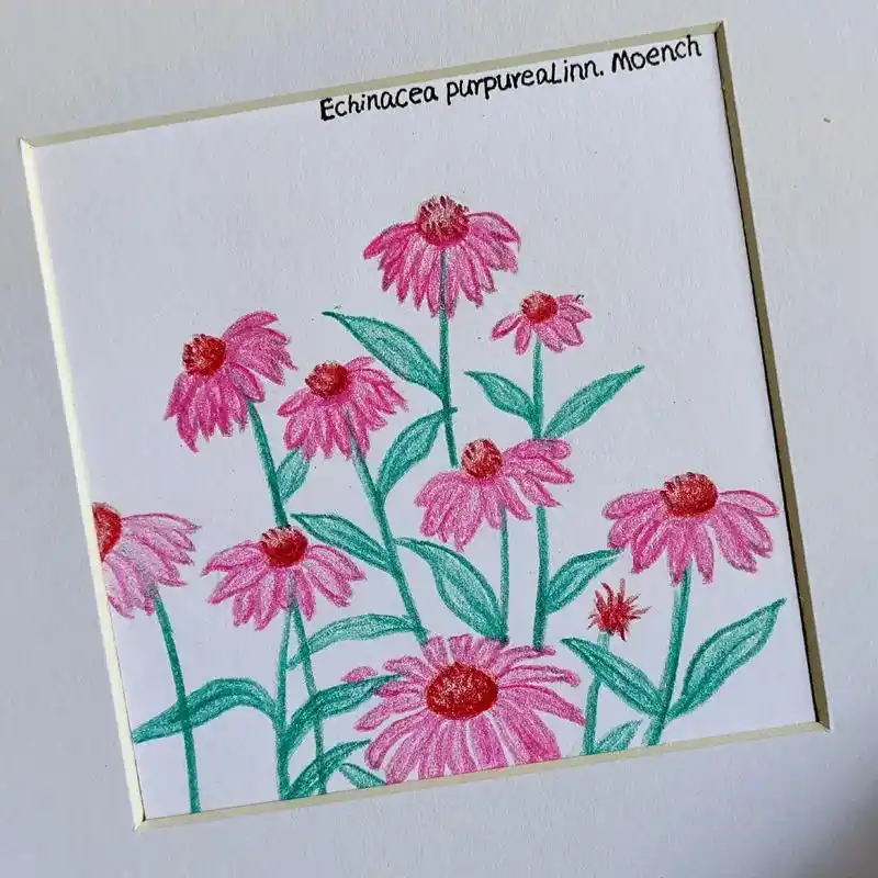 保你一看就会~#彩铅 #手绘 # - 抖音