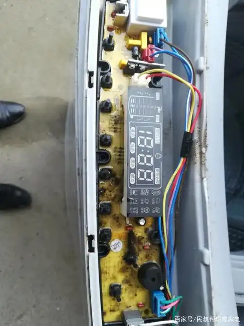 小天鹅洗衣机,按电源键没反应,有时又能开机,啥原因