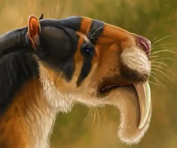 袋剑齿虎( thylacosmilus)