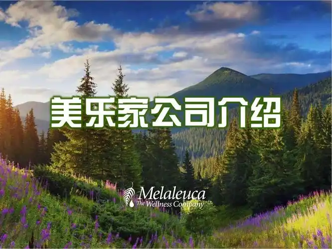 美乐家公司背景及商业模式