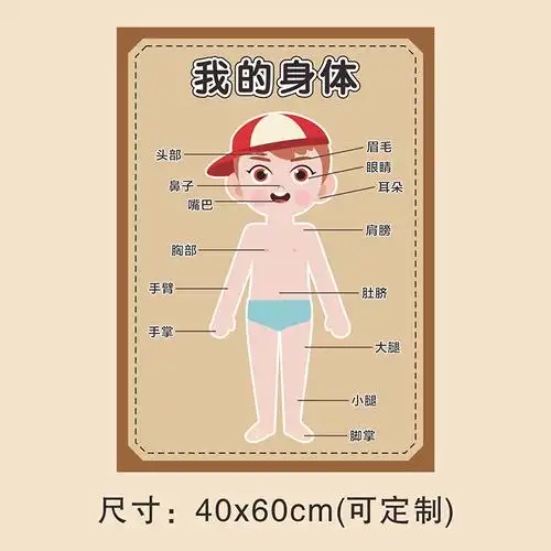 幼儿园医院区域环创墙贴我的皮肤五官器官身体贴纸
