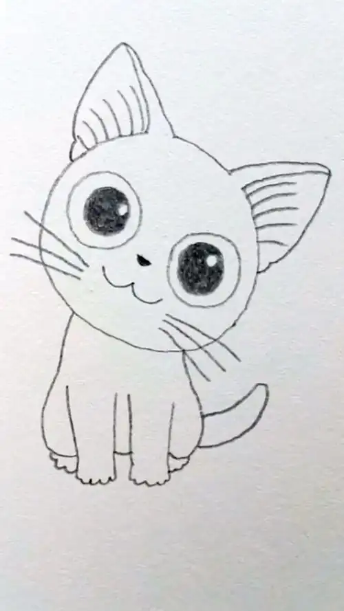 你们画一只超可爱的大眼猫.