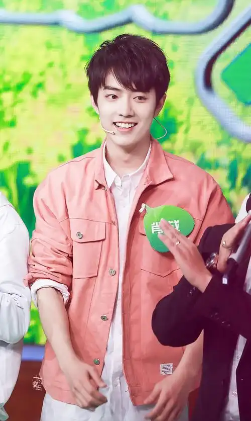 03.14天天向上 肖战