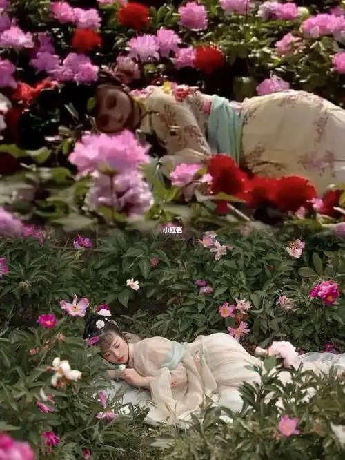 湘云醉卧红楼名场面打卡