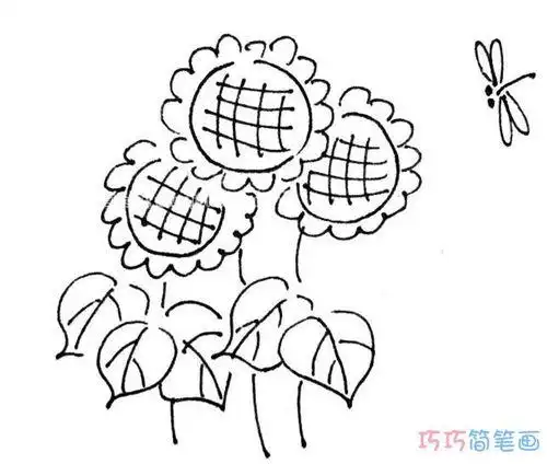 一束美丽的向日葵怎么画简单素描太阳花简笔画图片