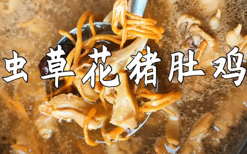 秋天滋补:虫草花猪肚鸡,工作的你多喝汤身体好,收藏起来!