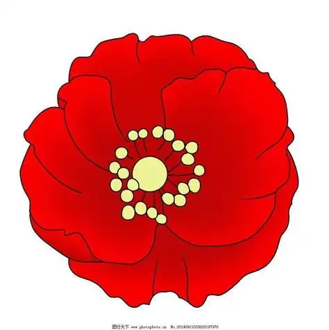 大红花简笔画 大红花简笔画彩色