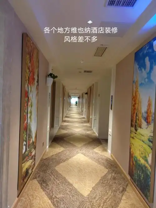 打卡维也纳酒店