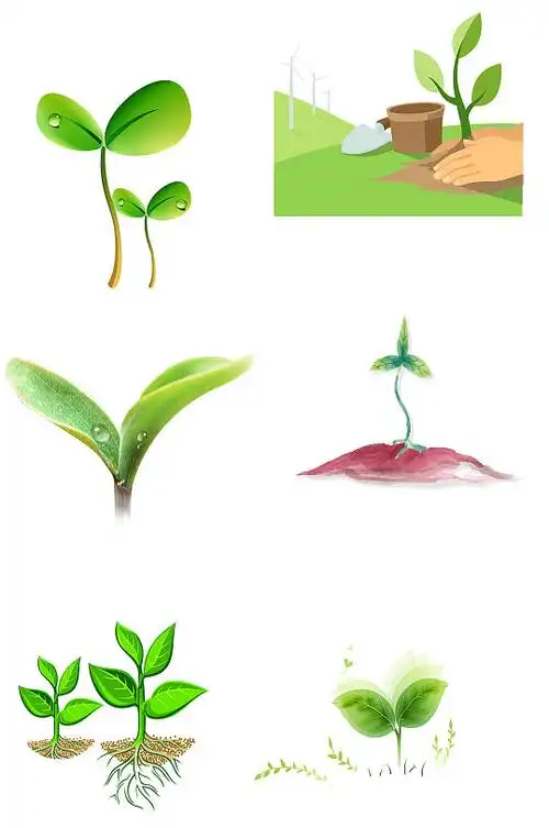 绿色幼苗免扣素材