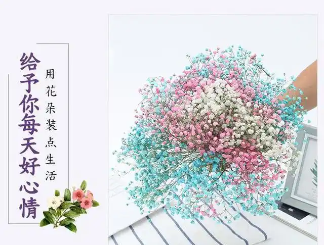 满天星花语送不同的人寓意也不同别乱送哦