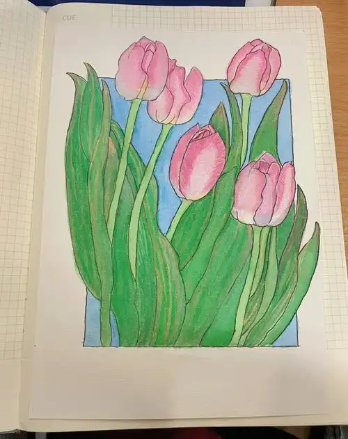 新手小白自学水彩郁金香临摹附过程