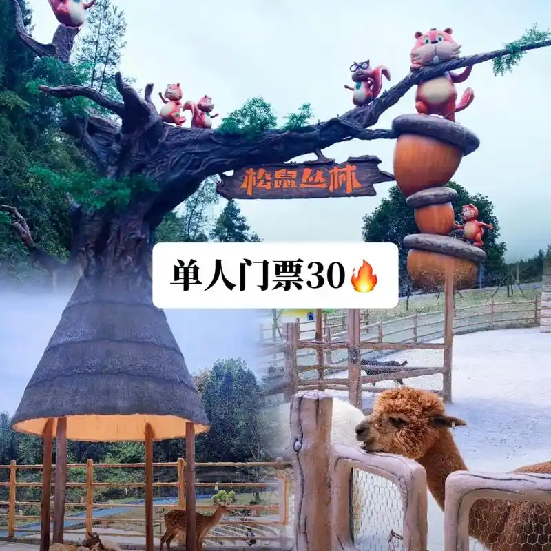 酉阳【松鼠丛林乐园】国庆特惠97.单人门票3097需提前一天 - 抖音