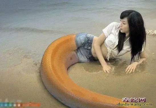 让人窒息的美女蛇图片