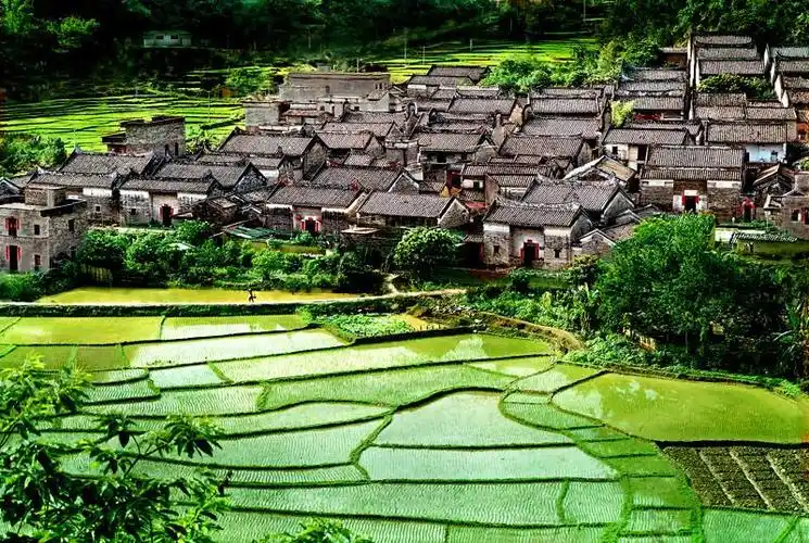 杨池古村(广东省肇庆市封开县罗董镇辖村)_石塘网